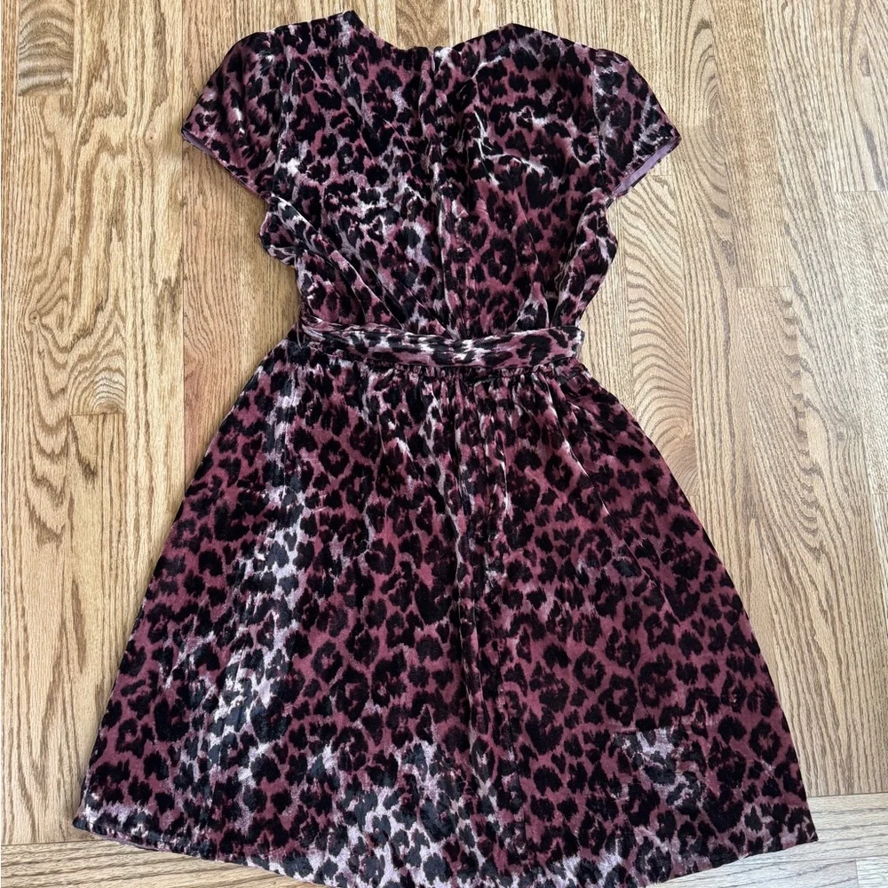 J. Crew purple velvet leopard Dress. Size 6.
